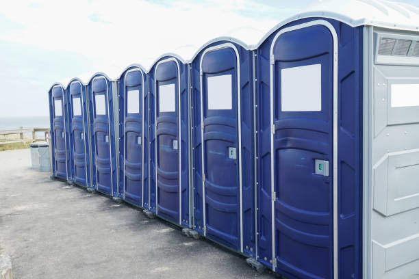 Types of Portable Toilets We Offer in Sauk City, WI